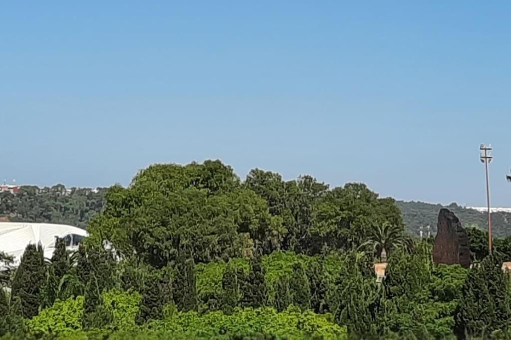 רבאט Hassan Tower And The Marina Come To You מראה חיצוני תמונה